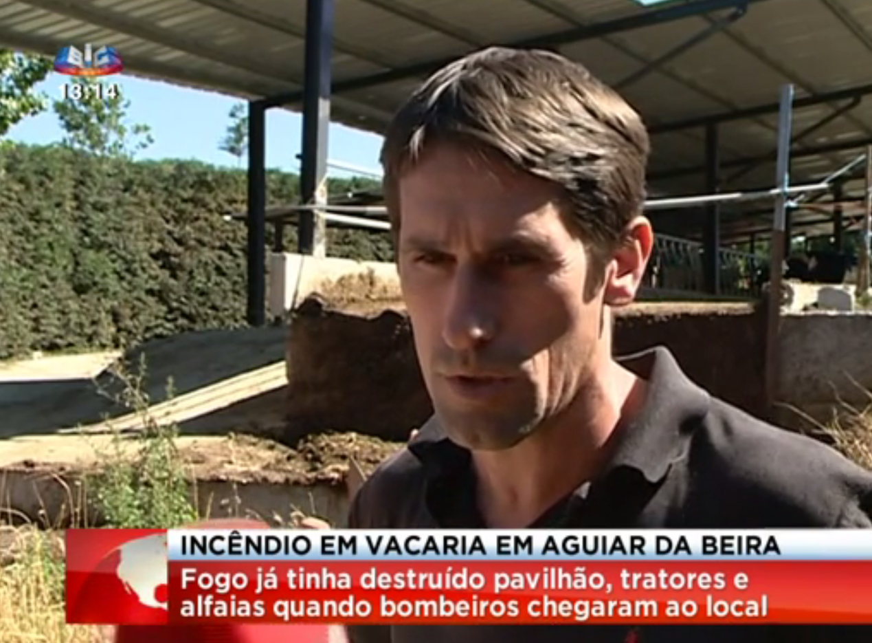 incêndiovacaria2
