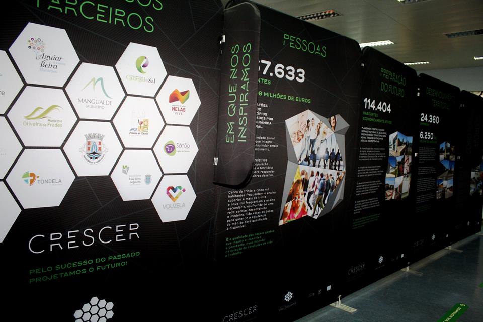 Crescer_4
