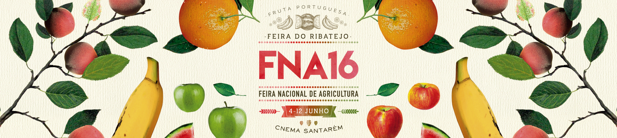 FNA16