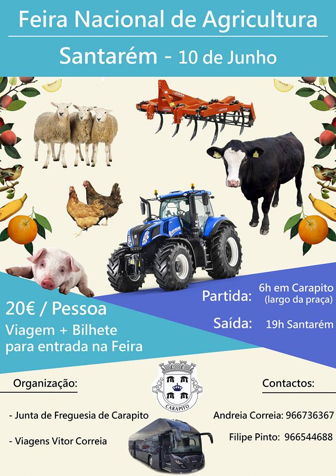 FNA16a