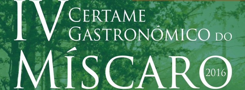 flyermiscaro-banner