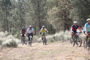 BTT AgB3