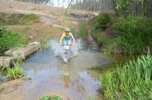 BTT AgB4