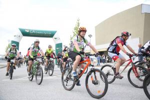 BTT AgB6