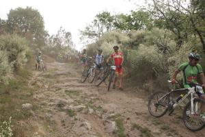 BTT AgB8
