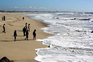 Passeio_Sénior_2015_8  